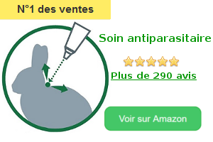 site de rencontre entre nains