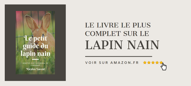 meilleur livre sur le lapin nain