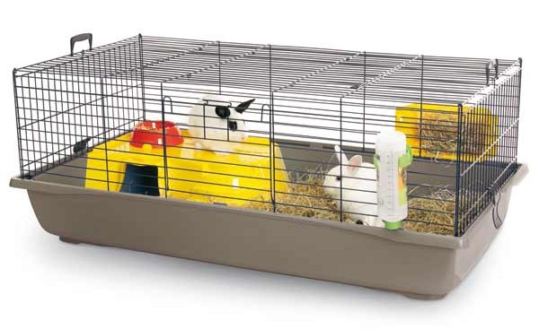 cage lapin nain