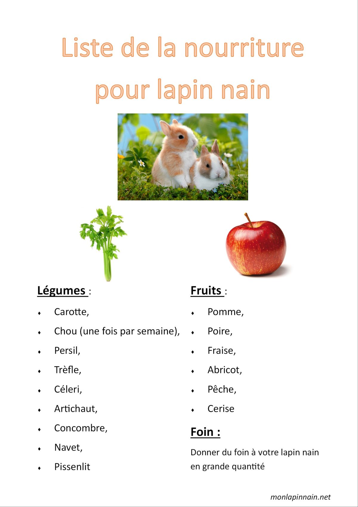 liste de la nourriture pour lapin nain