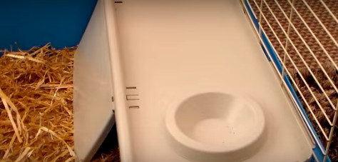 Vidéo : aménager une cage pour un lapin nain Vidéo : aménager une cage pour un lapin nain